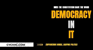 The Constitution and Democracy: A Word Search