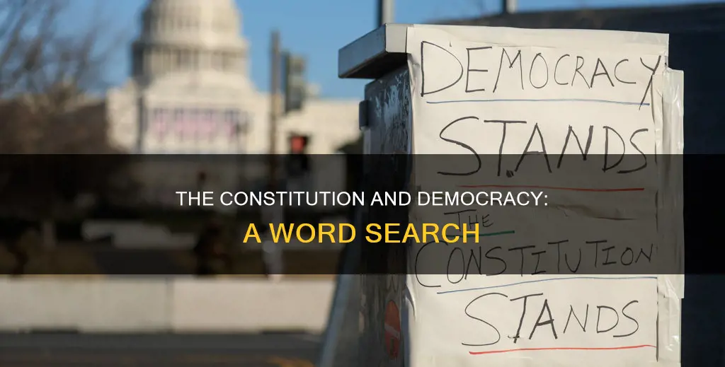 does the constitution have the word democracy in it