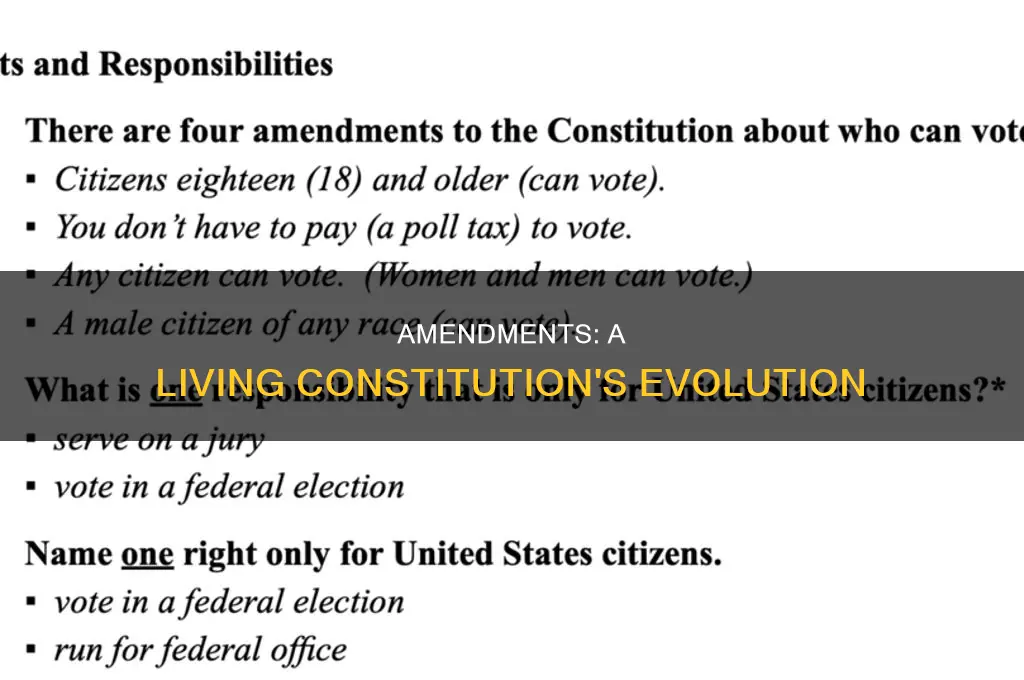 does the constitution include amendments