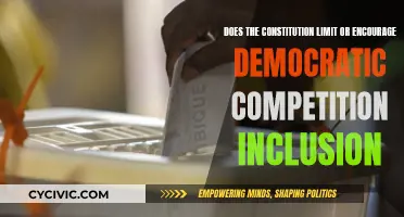 Constitutional Constraints: Competition and Inclusion