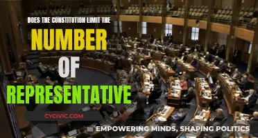 The Constitution: Capping Representatives?