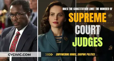 Supreme Court: Can the Number of Judges be Limited?