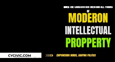 Intellectual Property: Is It Protected by the Constitution?