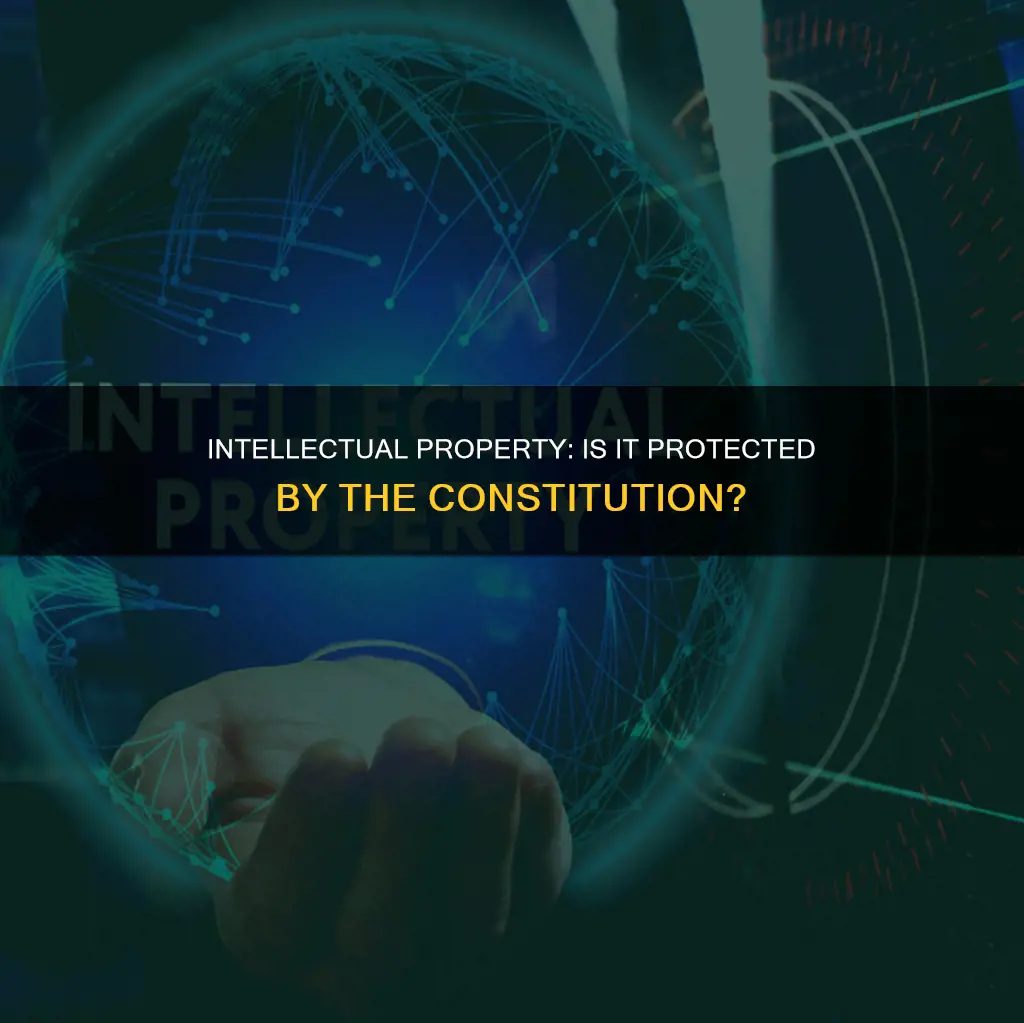 does the constitution mention all forms of moderon intellectual propperty