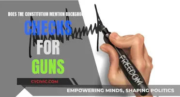 The Constitution and Gun Background Checks: What's the Deal?