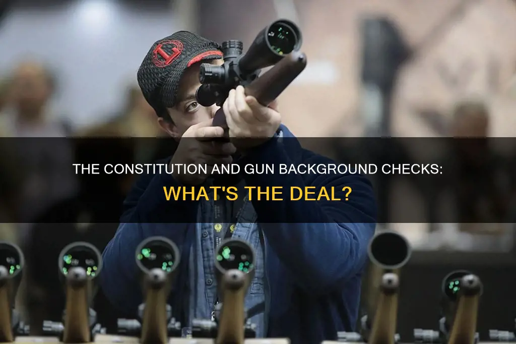 does the constitution mention background checks for guns