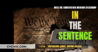 Citizenship and the Constitution: What's the Connection?
