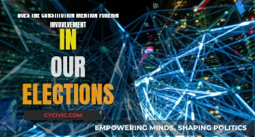 Foreign Election Interference: What Does the Constitution Say?