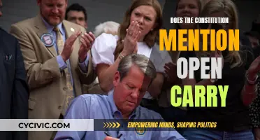 Open Carry: What Does the Constitution Actually Say?