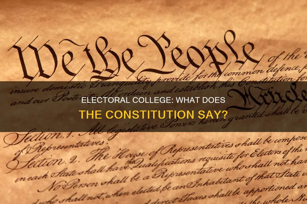 does the constitution mention provisions for the electoral college