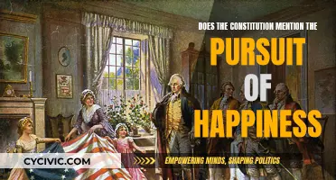 The Constitution's Take on Happiness and Pursuit
