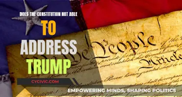 Trump's Unconstitutional Conduct: What the Constitution Says