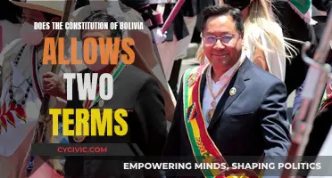 Bolivia's Constitution: Two-Term Limit Explained