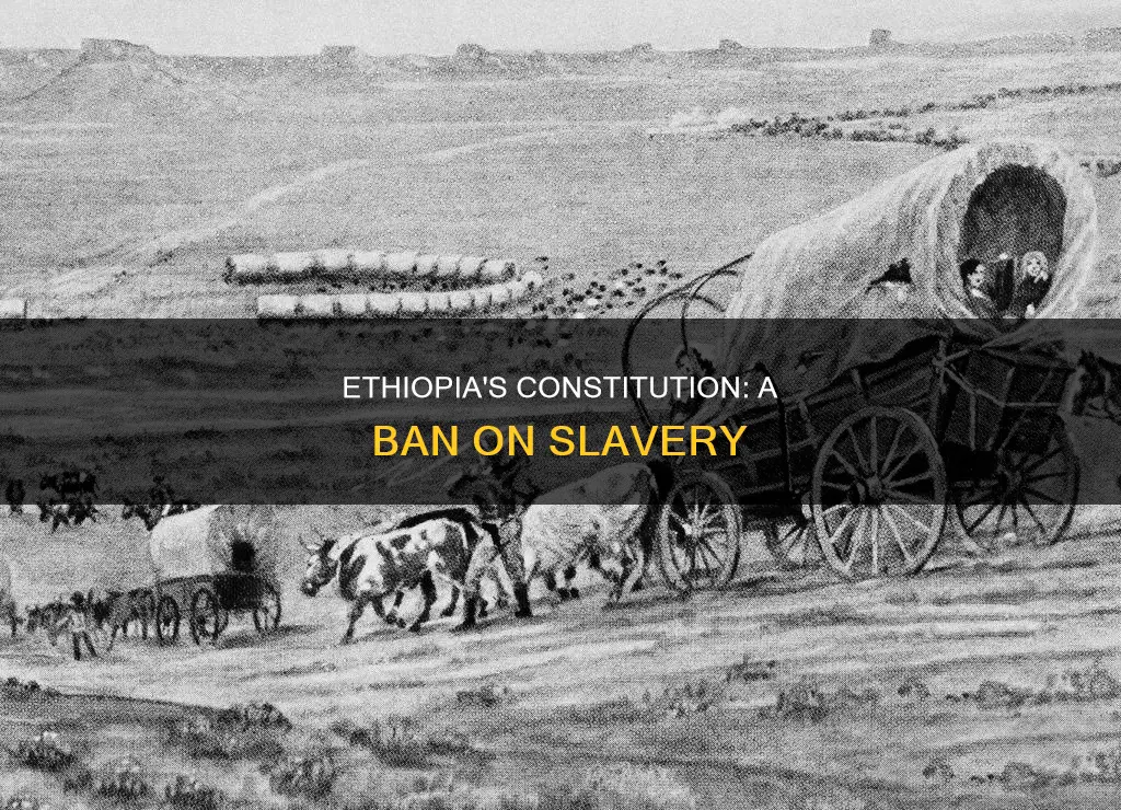 does the constitution of ethiopia has something about slavery