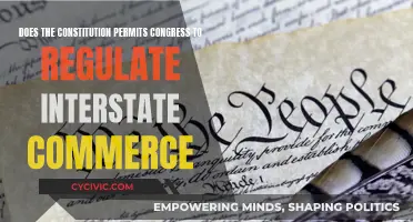 Commerce Clause: Congressional Power and Limits