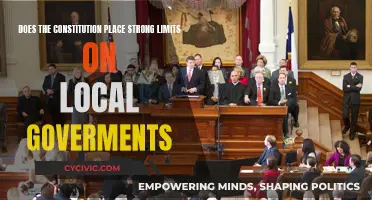 Local Governments: Constitutional Constraints and Their Limits