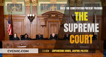 The Supreme Court: Packing and the Constitution