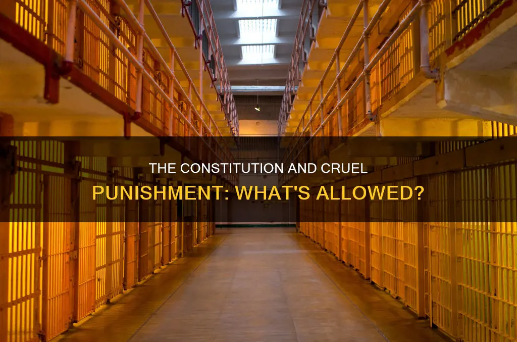 does the constitution prohibit cruel and unusual punishment