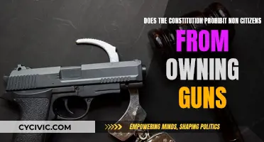 Can Non-Citizens Legally Own Guns in the US?