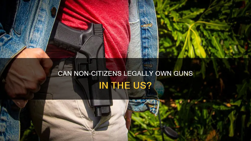 does the constitution prohibit non citizens from owning guns