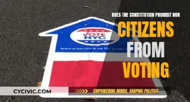 Who Can Vote? Citizenship and the Constitution