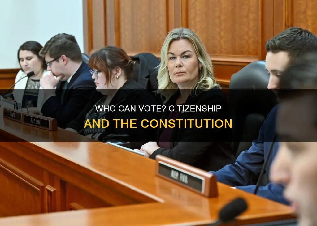 does the constitution prohibit non citizens from voting