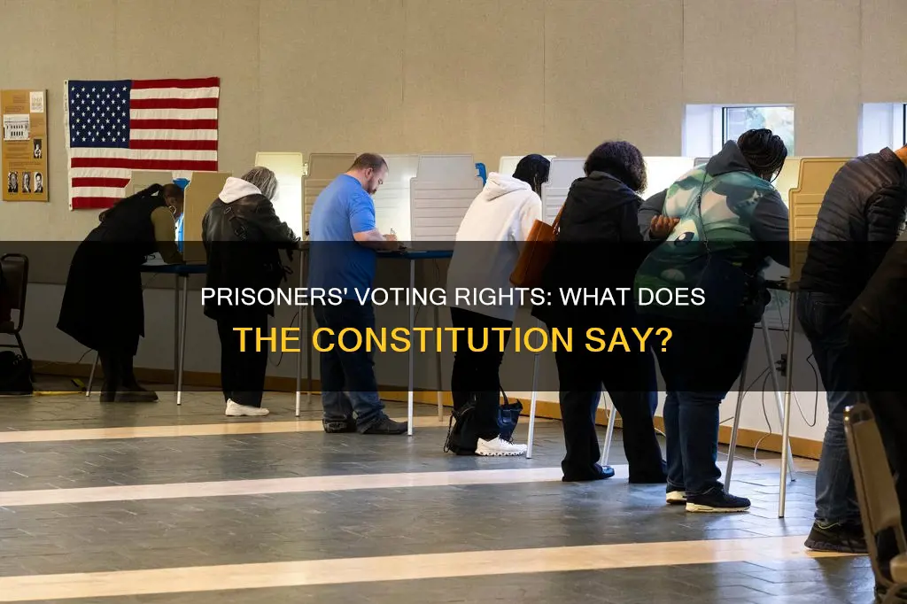 does the constitution prohibit voting while in prison
