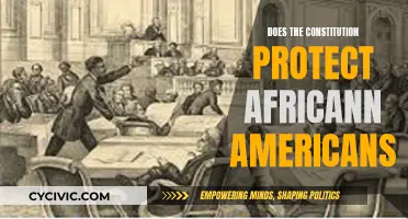 Constitution's Protection of African Americans: Fact or Fiction?