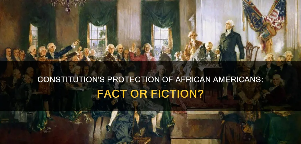 does the constitution protect africann americans