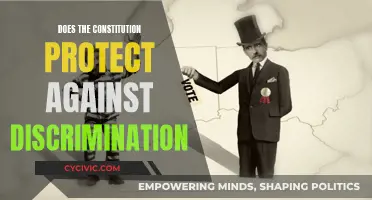 The Constitution's Anti-Discrimination Shield: Fact or Fiction?