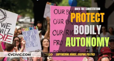 The Constitution, Bodily Autonomy, and Individual Freedom