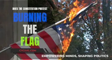 Flag Burning: Free Speech or an Unpatriotic Act?