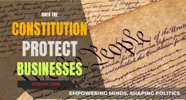 Constitutional Business Protections: What Safeguards Does It Offer?