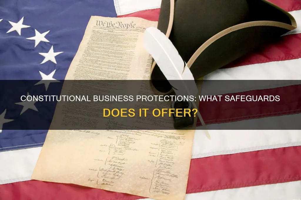 does the constitution protect businesses