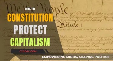 Capitalism and the Constitution: Friends or Foes?
