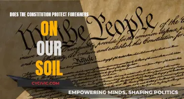 Foreign Nationals: Constitutional Rights on American Soil?
