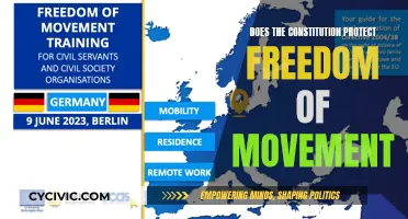 Exploring Constitutional Protections for Freedom of Movement