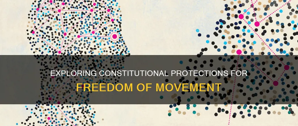 does the constitution protect freedom of movement