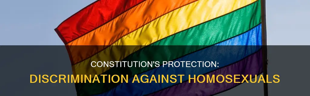 does the constitution protect homosexuals from discrimination