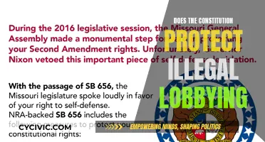 Illegal Lobbying: Constitutional Protection or Loophole?