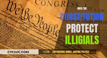The Constitution and Illegal Immigration: Protection or Prohibition?