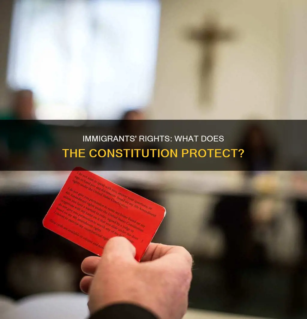 does the constitution protect immigrants