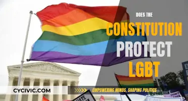 Constitution's LGBT Protections: Interpreting Rights and Equality