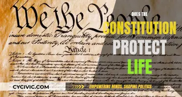 Life, Liberty, and the Pursuit of Constitutional Protection