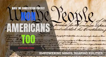 Constitution's Global Reach: Protecting Non-Americans?