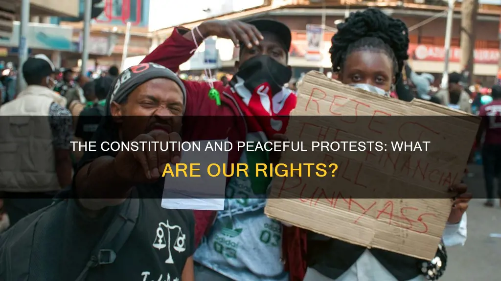 does the constitution protect peaceful protest