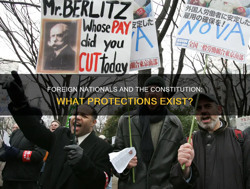 does the constitution protect persons from other lands