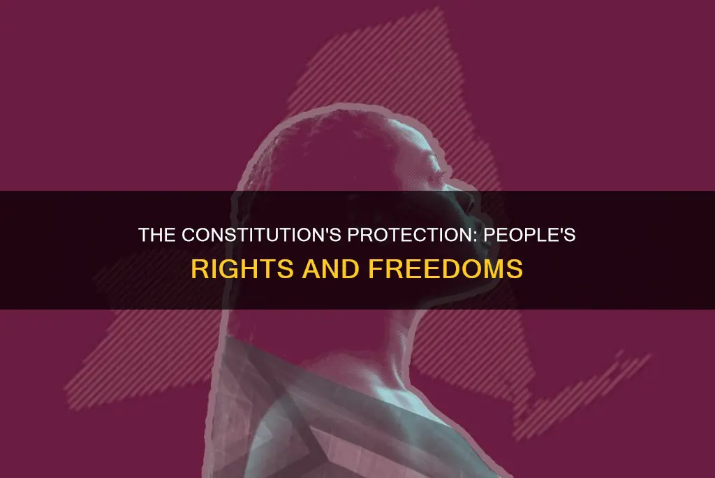 does the constitution protect persons