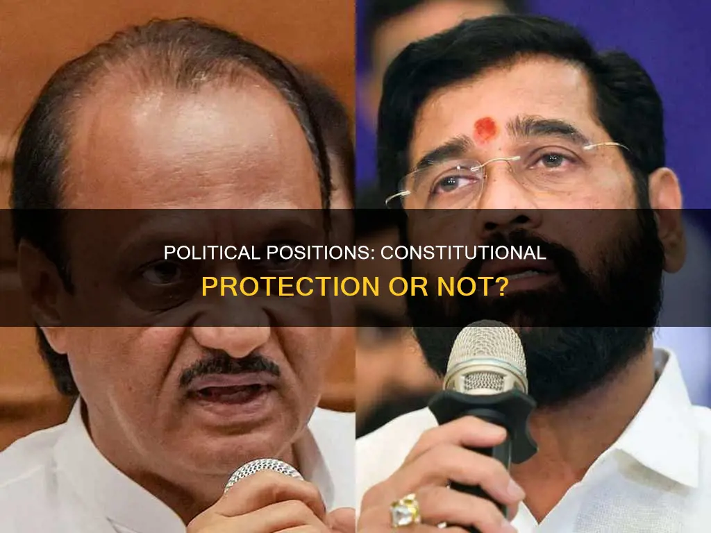 does the constitution protect political positions