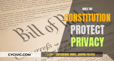The Constitution and Privacy: What Are Our Rights?